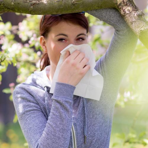 Aposte nos MIPs para as alergias respiratórias durante a primavera